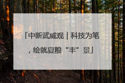 中新武威观｜科技为笔，绘就夏粮“丰”景