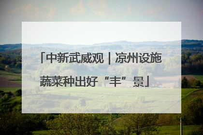 中新武威观｜凉州设施蔬菜种出好“丰”景