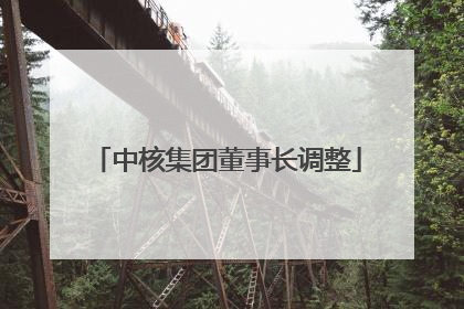 中核集团董事长调整