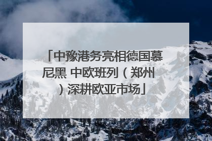 中豫港务亮相德国慕尼黑 中欧班列（郑州）深耕欧亚市场