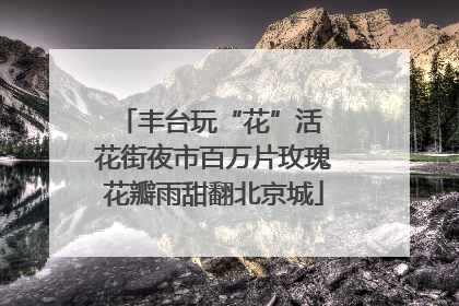 丰台玩“花”活 花街夜市百万片玫瑰花瓣雨甜翻北京城