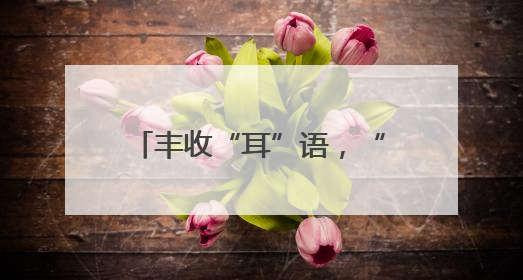 丰收“耳”语，“粽”享端午—山阳县乡村振兴投资开发有限公司首届木耳采摘活动盛大启幕