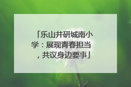乐山井研城南小学：展现青春担当，共议身边要事