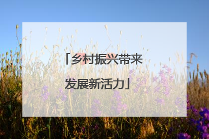 乡村振兴带来发展新活力