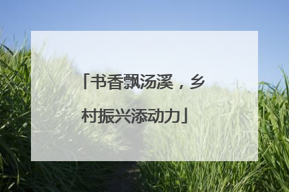 书香飘汤溪，乡村振兴添动力