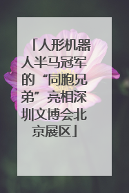 人形机器人半马冠军的“同胞兄弟”亮相深圳文博会北京展区