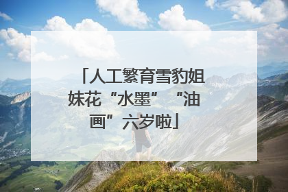人工繁育雪豹姐妹花“水墨”“油画”六岁啦