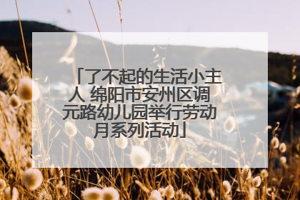 了不起的生活小主人 绵阳市安州区调元路幼儿园举行劳动月系列活动