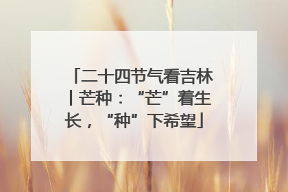二十四节气看吉林丨芒种：“芒”着生长，“种”下希望