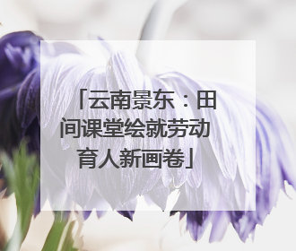 云南景东：田间课堂绘就劳动育人新画卷