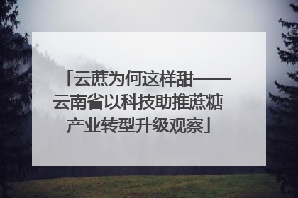 云蔗为何这样甜——云南省以科技助推蔗糖产业转型升级观察