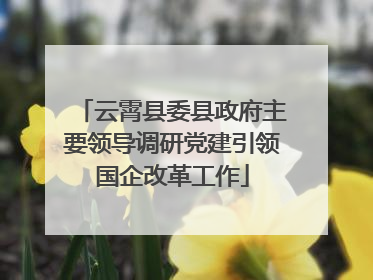 云霄县委县政府主要领导调研党建引领国企改革工作