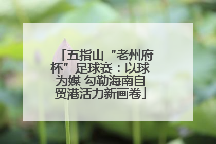 五指山“老州府杯”足球赛：以球为媒 勾勒海南自贸港活力新画卷
