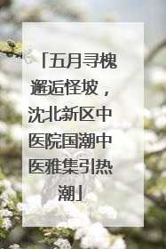 五月寻槐邂逅怪坡，沈北新区中医院国潮中医雅集引热潮