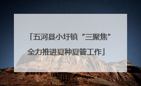 五河县小圩镇“三聚焦”全力推进夏种夏管工作