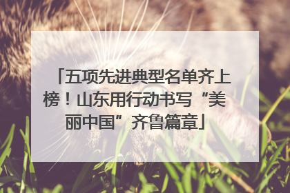 五项先进典型名单齐上榜！山东用行动书写“美丽中国”齐鲁篇章