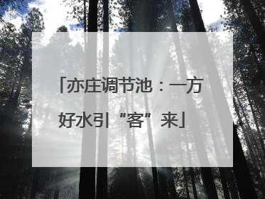 亦庄调节池：一方好水引“客”来