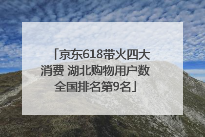 京东618带火四大消费 湖北购物用户数全国排名第9名