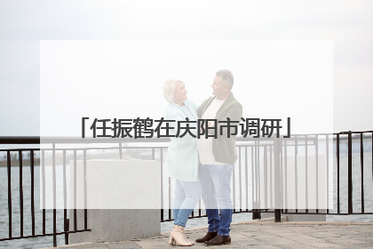 任振鹤在庆阳市调研