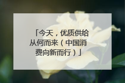 今天，优质供给从何而来（中国消费向新而行）