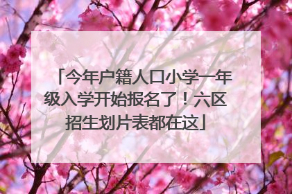 今年户籍人口小学一年级入学开始报名了！六区招生划片表都在这