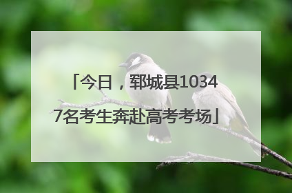今日，郓城县10347名考生奔赴高考考场