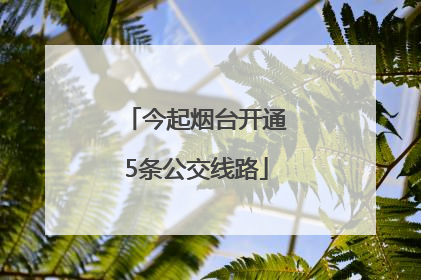 今起烟台开通5条公交线路
