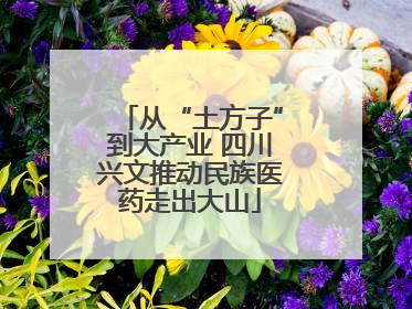从“土方子”到大产业 四川兴文推动民族医药走出大山