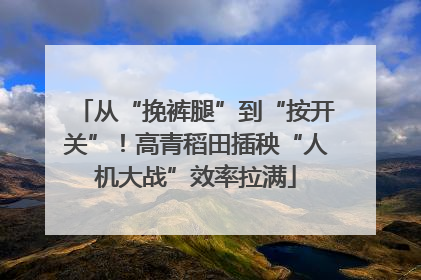 从“挽裤腿”到“按开关”！高青稻田插秧“人机大战”效率拉满
