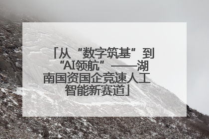 从“数字筑基”到“AI领航”——湖南国资国企竞速人工智能新赛道