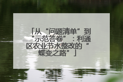 从“问题清单”到“示范答卷”：利通区农业节水整改的“蝶变之路”