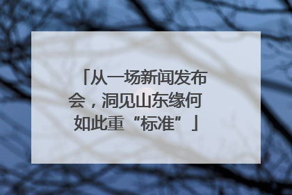 从一场新闻发布会，洞见山东缘何如此重“标准”