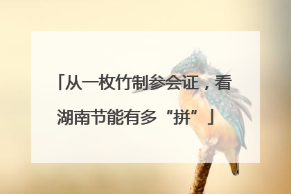 从一枚竹制参会证，看湖南节能有多“拼”