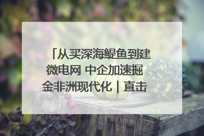 从买深海鳀鱼到建微电网 中企加速掘金非洲现代化｜直击中非经贸博览会