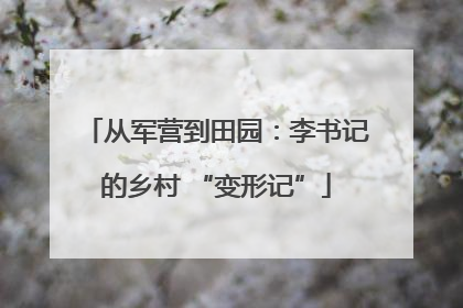 从军营到田园：李书记的乡村 “变形记”