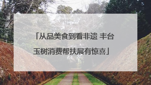 从品美食到看非遗 丰台玉树消费帮扶展有惊喜