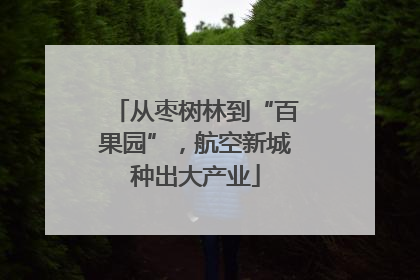 从枣树林到“百果园”，航空新城种出大产业
