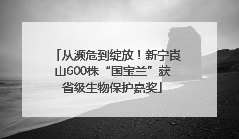从濒危到绽放！新宁崀山600株“国宝兰”获省级生物保护嘉奖