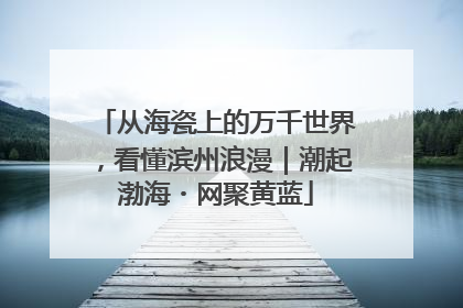 从海瓷上的万千世界，看懂滨州浪漫｜潮起渤海・网聚黄蓝