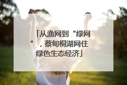 从渔网到“绿网”，蔡甸桐湖网住绿色生态经济
