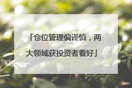仓位管理偏谨慎，两大领域获投资者看好
