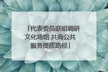代表委员联组调研文化场馆 共商公共服务提质路径