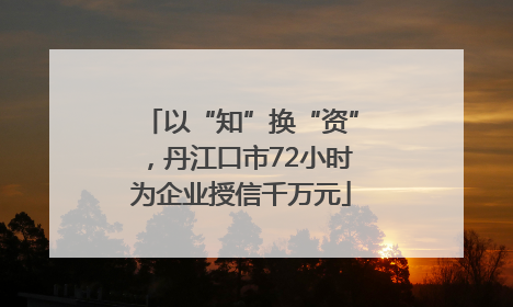 以“知”换“资”，丹江口市72小时为企业授信千万元