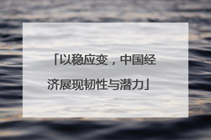 以稳应变，中国经济展现韧性与潜力