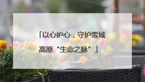 以心护心，守护雪域高原“生命之脉”