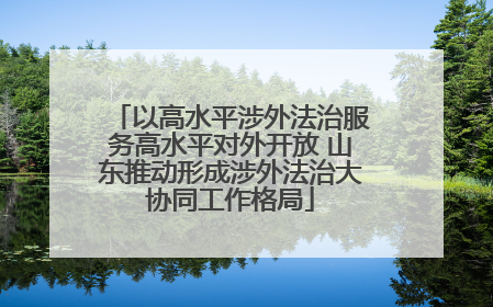 以高水平涉外法治服务高水平对外开放 山东推动形成涉外法治大协同工作格局