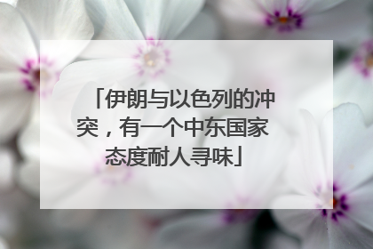 伊朗与以色列的冲突，有一个中东国家态度耐人寻味