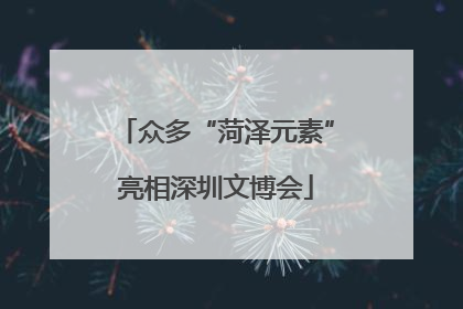 众多“菏泽元素”亮相深圳文博会