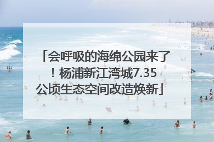 会呼吸的海绵公园来了！杨浦新江湾城7.35公顷生态空间改造焕新