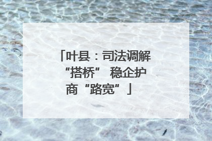 叶县：司法调解“搭桥” 稳企护商“路宽”